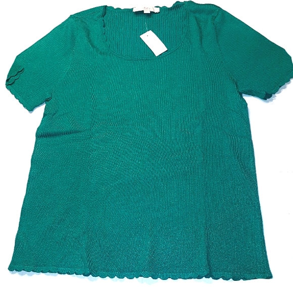 Ann Taylor LOFT Beautiful scallopped edge Short Sleeve Sweater Top☆ XL - Picture 2 of 13